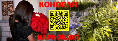 гашик Кинель