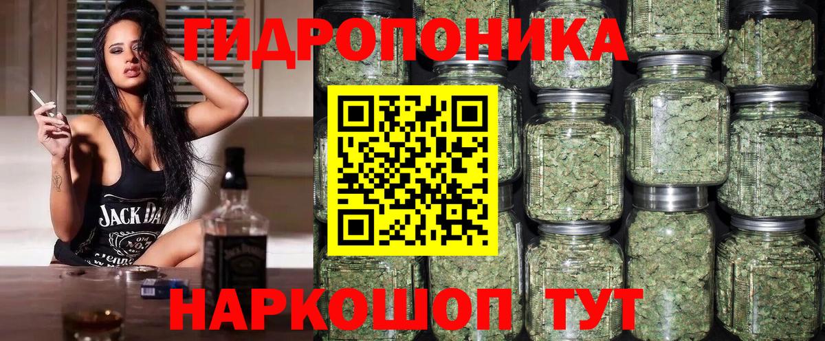 Конопля сатива Коряжма